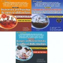 B.Sc 2nd Sem UP State Universities bilingual biology group (3 IN 1) combo pack Books